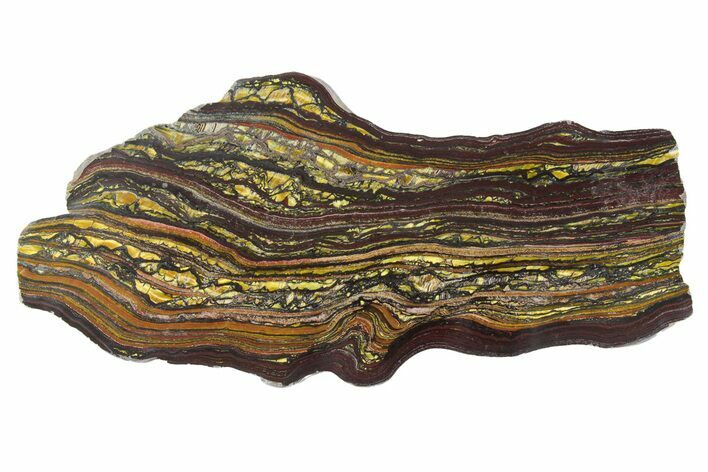 Polished Tiger Iron Stromatolite Slab - Billion Years #351885